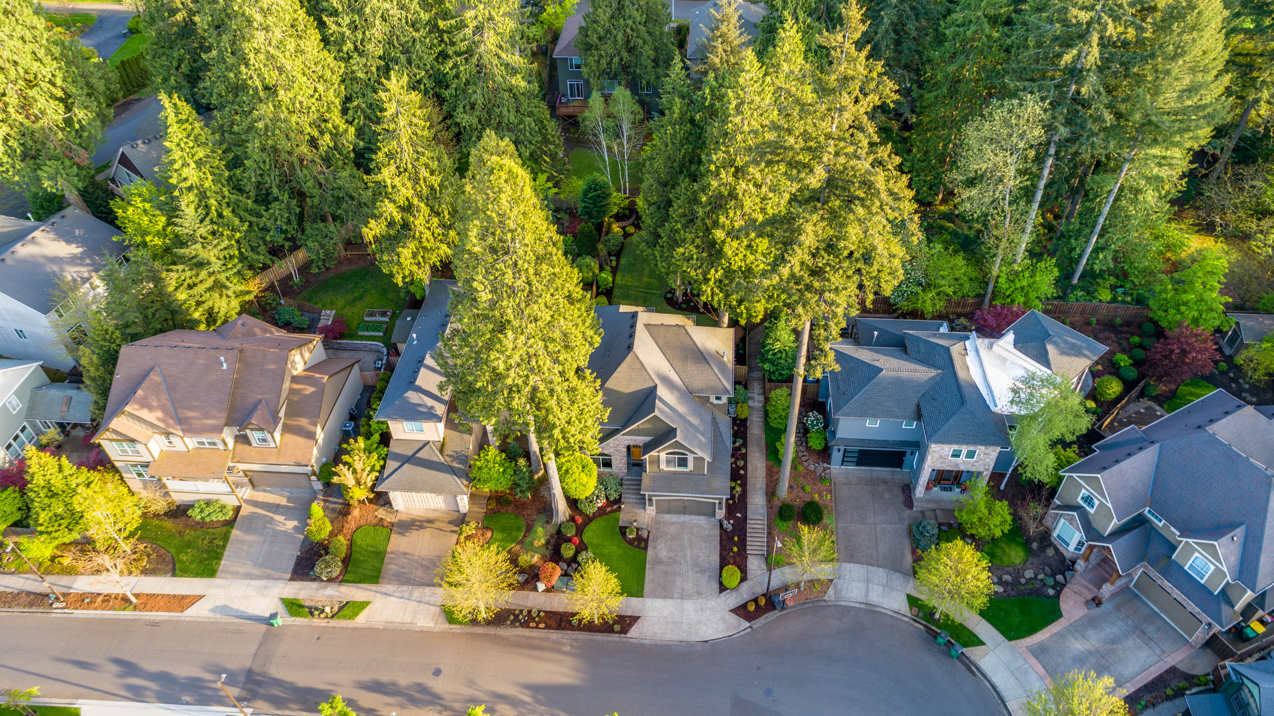 Stacks Image 920